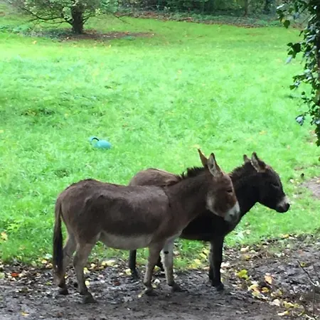 Domaine De La Course 4*