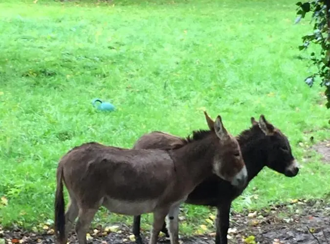 Domaine De La Course 4*